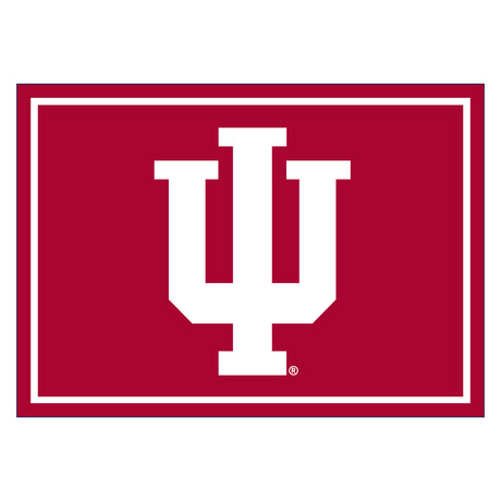 Indiana University // Team Spirit Rug