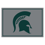 Michigan State // Team Spirit Rug