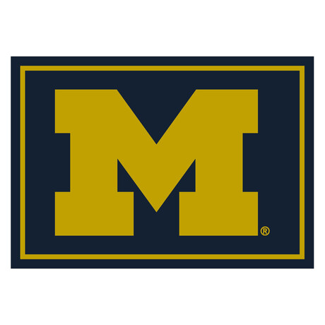 University Of Michigan // Team Spirit Rug