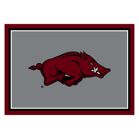 University Of Arkansas // Team Spirit Rug