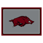University Of Arkansas // Team Spirit Rug