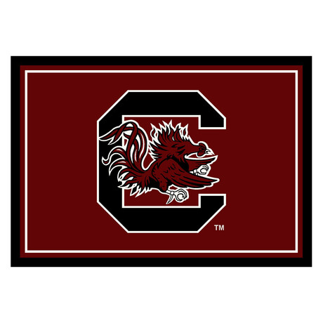 University Of South Carolina // Team Spirit Rug