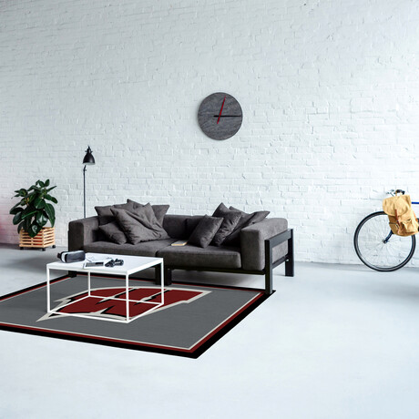 University Of Wisconsin // Team Spirit Rug