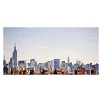 Empire State Of Mind Wall Mural (104"W x 104"H)