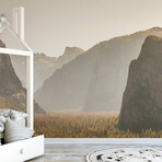 Tunnel View Wall Mural (104"W x 104"H)