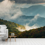 Blue Ridge Parkway Wall Mural (104"W x 104"H)