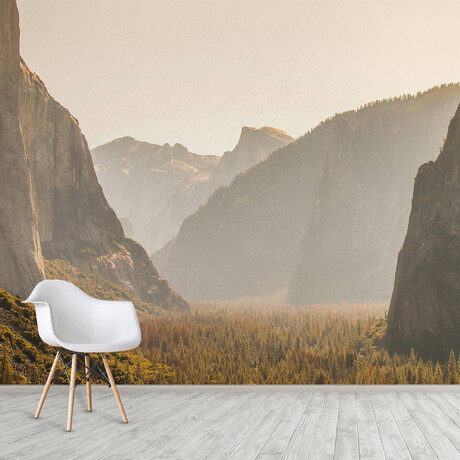 Tunnel View Wall Mural (104"W x 104"H)