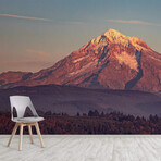 Mt. Hood Moonrise Wall Mural (104"W x 104"H)