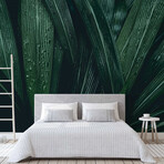 Midnight Rain Wall Mural (104"W x 104"H)