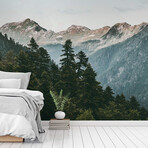 To the Timberline Wall Mural (104"W x 104"H)