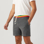 Rainbow Stripe Short // Heather (S)