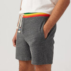 Rainbow Stripe Short // Heather (S)