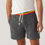 Rainbow Stripe Short // Heather (S)