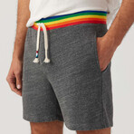 Rainbow Stripe Short // Heather (S)