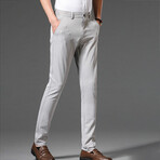 Pinstripe Chino Pants // Light Gray (31)