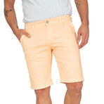 Cacheu Bermuda Shorts // Salmon (L)