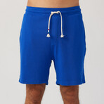 Waves Short // Royal Blue (XL)