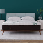 ZenCloud Original 10" Mattress (Twin)