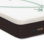 ZenCloud Original 10" Mattress (Twin)