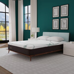 ZenCloud Original 12" Mattress (Twin)