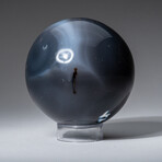 Genuine Polished Blue Orca 2.5" Sphere With Acrylic Display Stand
