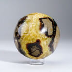 Genuine Polished Septarian 4.5" Sphere With Acrylic Display Stand