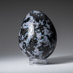 Genuine Polished Indigo Gabro 3.5" Egg With Acrylic Display Stand