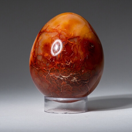 Genuine Polished Gem Carnelian Agate 2.5" Egg With Acrylic Display Stand