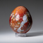 Geunine Polished Red Jasper 3" Egg With Acrylic Display Stand