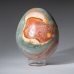 Genuine Polished Polychrome 3.5" Egg With Acrylic Display Stand