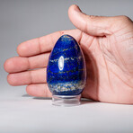 Genuine Polished Lapis Lazuli Egg With Acrylic Display Stand