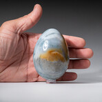 Genuine Polished Ocean Jasper 3" Egg With Acrylic Display Stand