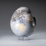 Genuine Polished Ocean Jasper 3"Egg With Acrylic Display Stand