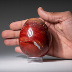 Geunine Polished Red Jasper 3" Egg With Acrylic Display Stand