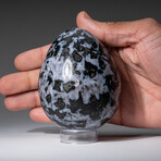 Genuine Polished Indigo Gabro 3.5" Egg With Acrylic Display Stand