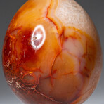 Genuine Polished Gem Carnelian Agate 2.5" Egg With Acrylic Display Stand