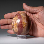 Genuine Polished Petrified Wood 3" Egg With Acrylic Display Stand