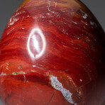 Geunine Polished Red Jasper 3" Egg With Acrylic Display Stand