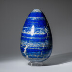 Genuine Polished Lapis Lazuli Egg With Acrylic Display Stand // 7.9 lbs