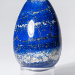 Genuine Polished Lapis Lazuli Egg With Acrylic Display Stand