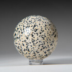 Genuine Polished Dalmation Jasper 1.75" Sphere With Acrylic Display Stand