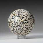 Genuine Polished Dalmation Jasper 1.75" Sphere With Acrylic Display Stand