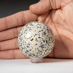 Genuine Polished Dalmation Jasper 1.75" Sphere With Acrylic Display Stand