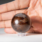 Genuine Polished Garnet 1.5" Sphere With Acrylic Display Stand