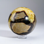 Genuine Polished Septarian 4.5" Sphere With Acrylic Display Stand