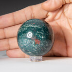 Genuine Polished Bloodstone 1.75" Sphere With Acrylic Display Stand