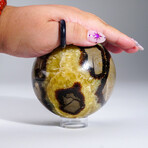 Genuine Polished Septarian 4.5" Sphere With Acrylic Display Stand