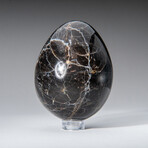 Genune Polished Black Moonstone 2.5" Egg With Acrylic Display Stand