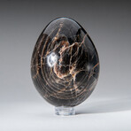 Genune Polished Black Moonstone 2.5" Egg With Acrylic Display Stand