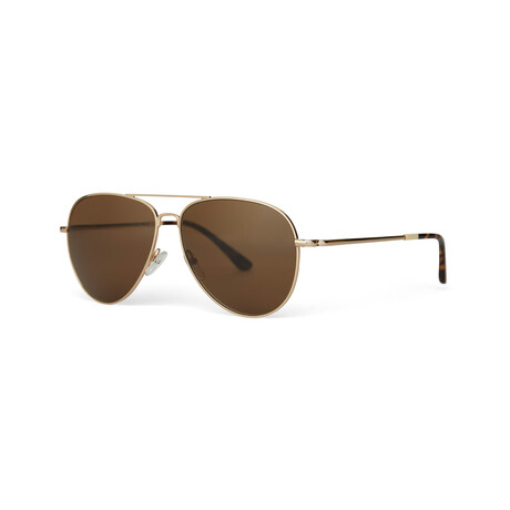Hudson // Shiney Gold + Solid Brown // Polarized